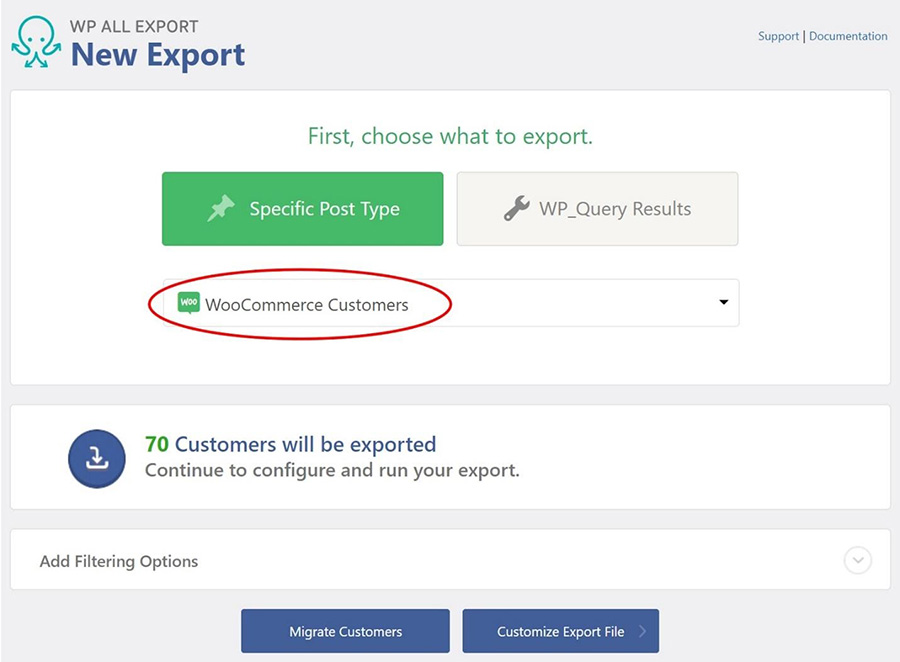 WP All Export - Choose the type of data that you want to export