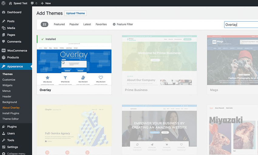 Search for Overlay theme on the directory