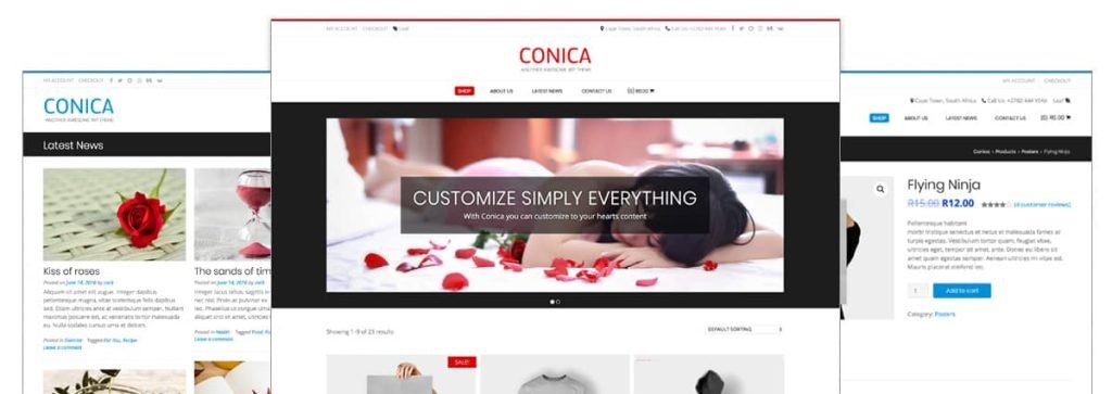 Conica WordPress Theme - a simple, beautiful theme to build your next website with.