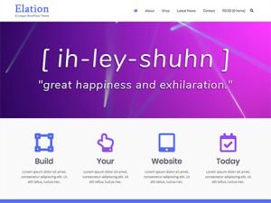 Kaira – WordPress Themes & Plugins to Build Better Websites