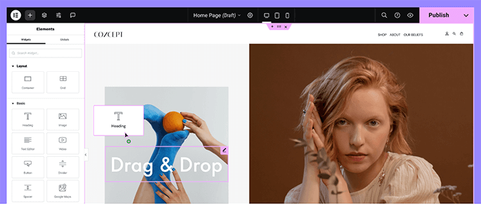 Elementor Page Builder